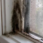 jak-bezpiecznie-oczyscic-drewno-z-plesni-eksperci-od-renowacji-ujawniaja.webp.webp